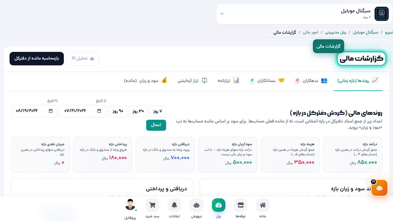 گزارشات مالی